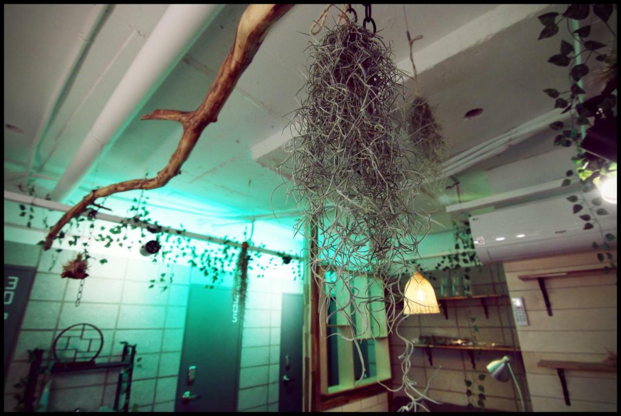 24 Sinchon Guest house 2*